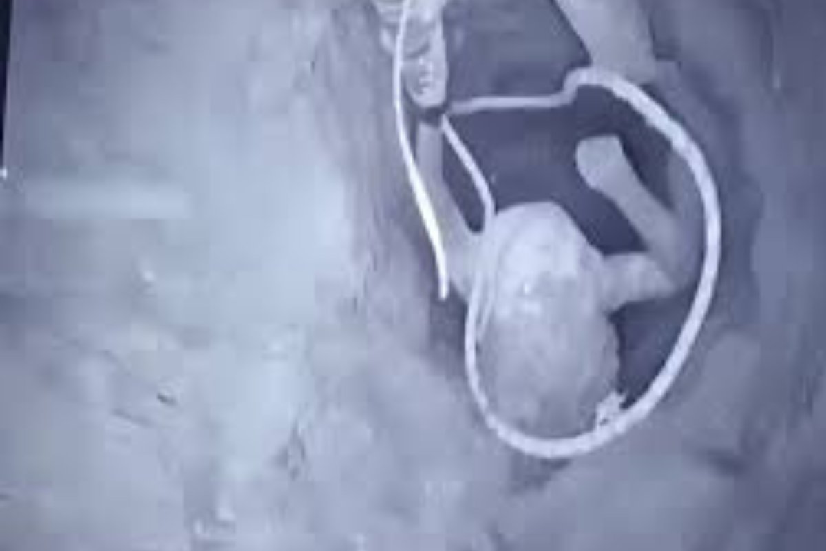 قصة أمل وسط الألم.. لحظة إخراج الطفل علي عبدي من بئر عمقه 50 متراً