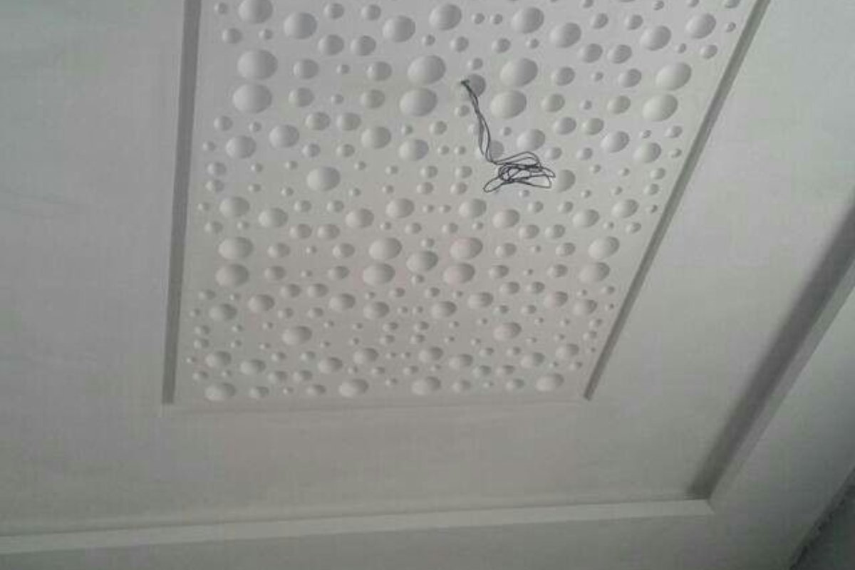 عائلة تسمع صوتًا غريبًا من السقف.. وما وجدوه قلب حياتهم