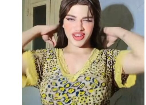 القبض على "ياسمين" بعد بث فيديوهات خادشة... والمفاجأة في هويتها الحقيقية