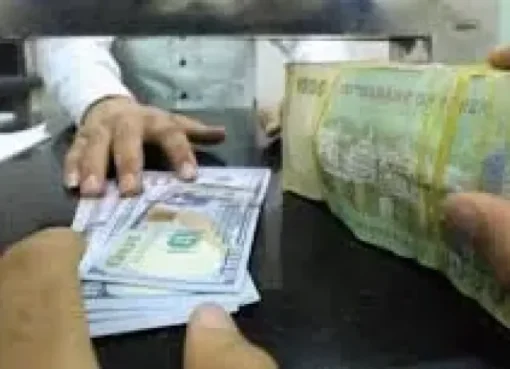 انهيار الريال اليمني يربك السوق.. والصرافات تعتمد الدولار في الحوالات انهيار الريال اليمني يربك السوق.. والصرافات تعتمد الدولار في الحوالات