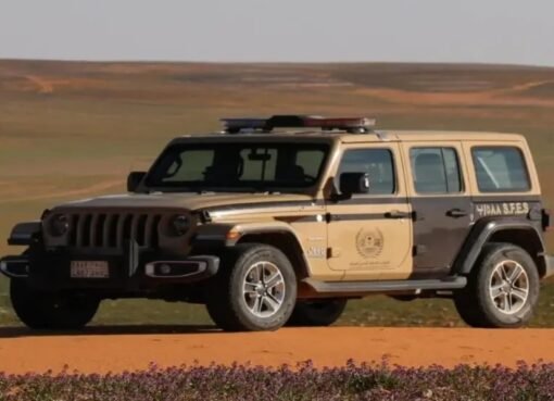 السعودية تضبط يمنيين بتهم بيئية ومخدرات.. وغرامات تصل لـ10 ملايين ريال