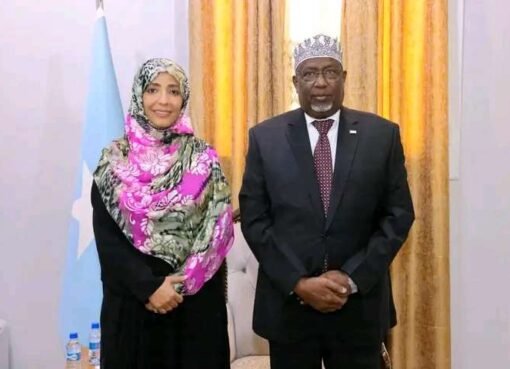 ماذا قال رئيس البرلمان الصومالي عن توكل كرمان؟