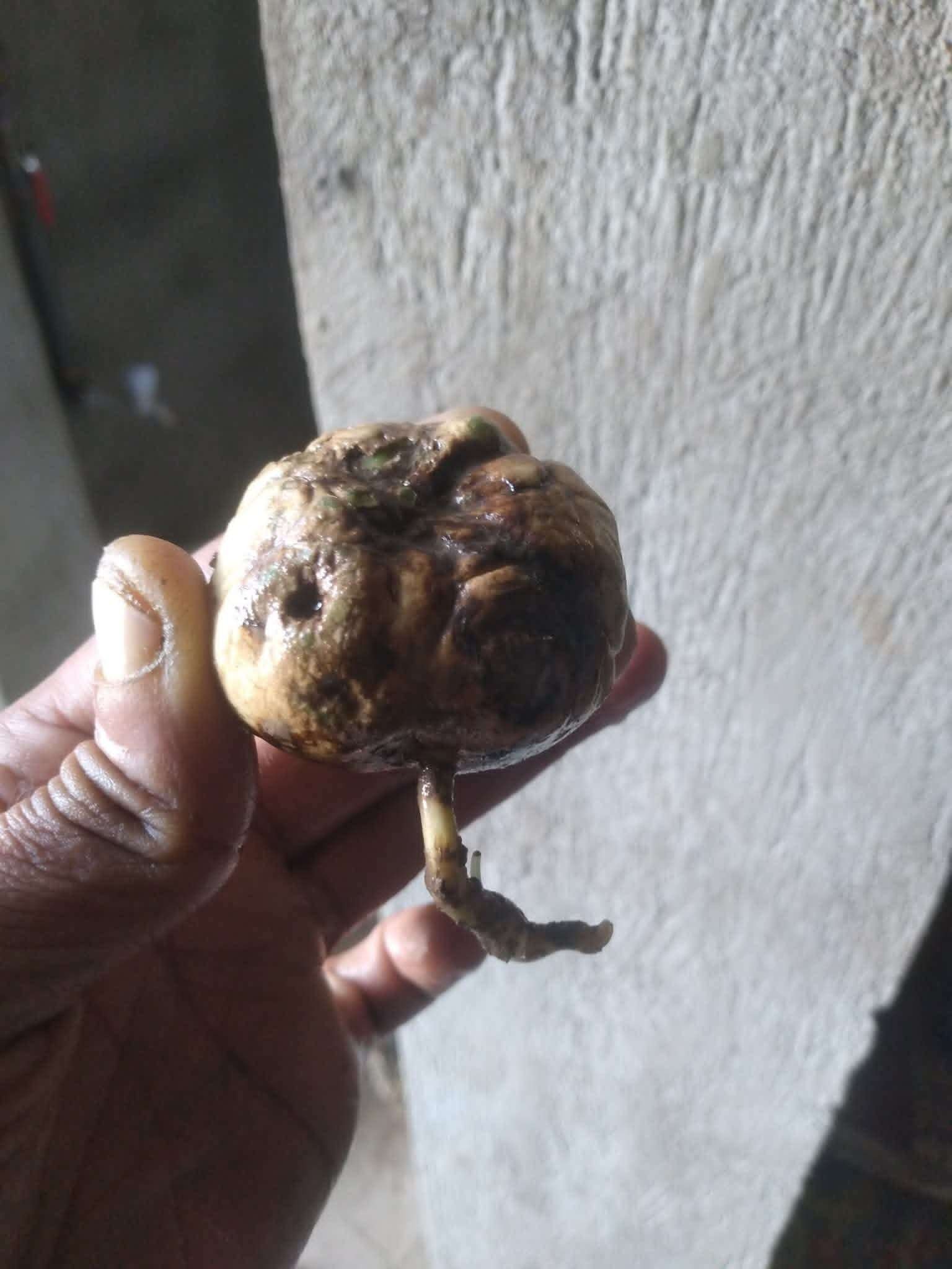 اكتشاف غامض في مجرى السيول.. مواطن يعثر على جسم يثير الذعر