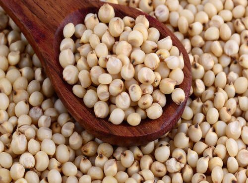 لا ترمِ هذه الحبوب البيضاء قبل أن تعرف حقيقتها.. معلومات غذائية قد تفاجئك!