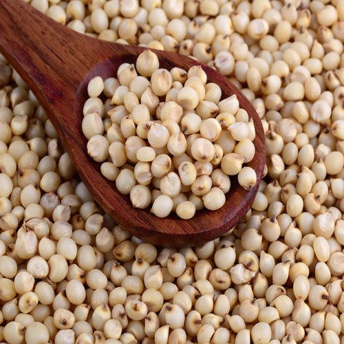 لا ترمِ هذه الحبوب البيضاء قبل أن تعرف حقيقتها.. معلومات غذائية قد تفاجئك!